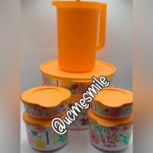 Tupperware Ilumina Floral Birdie Pitcher/Tumbler/Containers Set